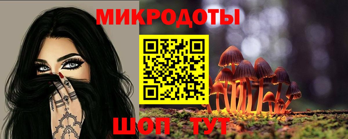 Псилоцибиновые грибы Psilocybe  Вход с VPN  Карасук 